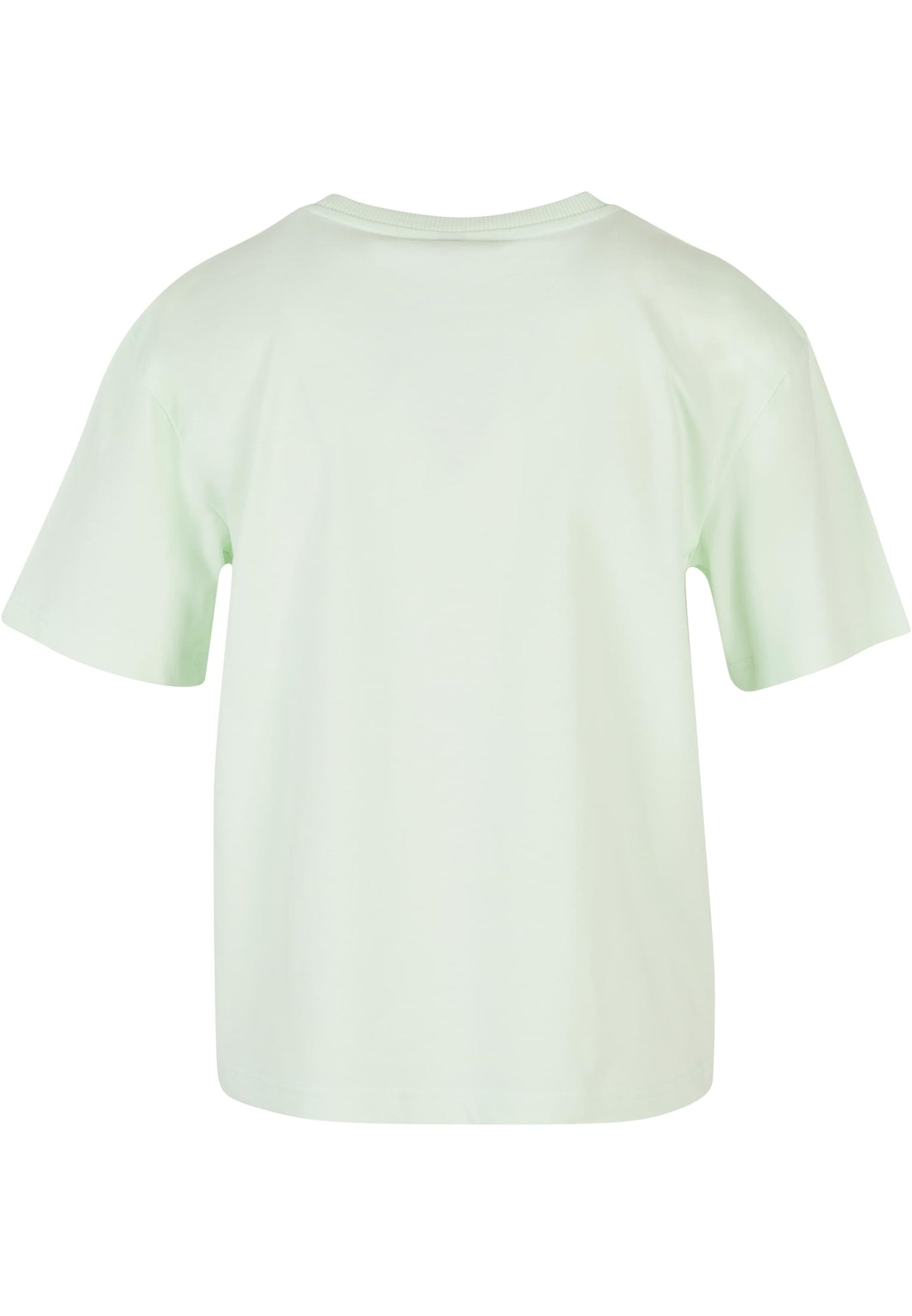 Ladies Everyday Tee Light Mint